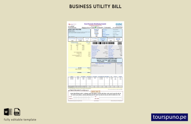 lista para imprimir plantilla de factura de servicios públicos de electricidad 2
